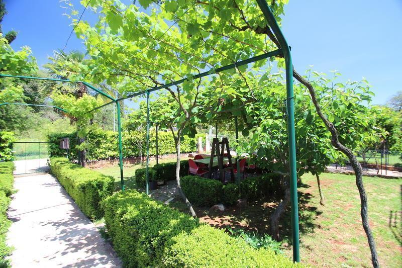The Green House - 20M From The Beach Novigrad  Room photo