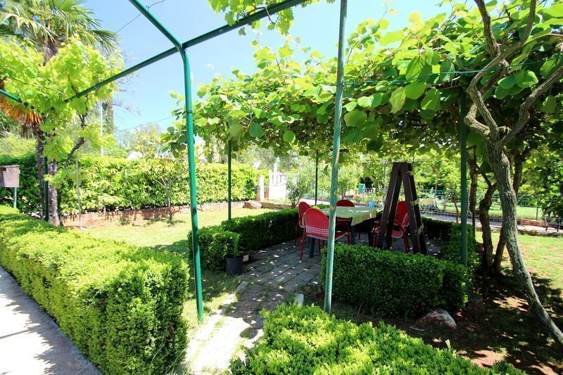 The Green House - 20M From The Beach Novigrad  Room photo